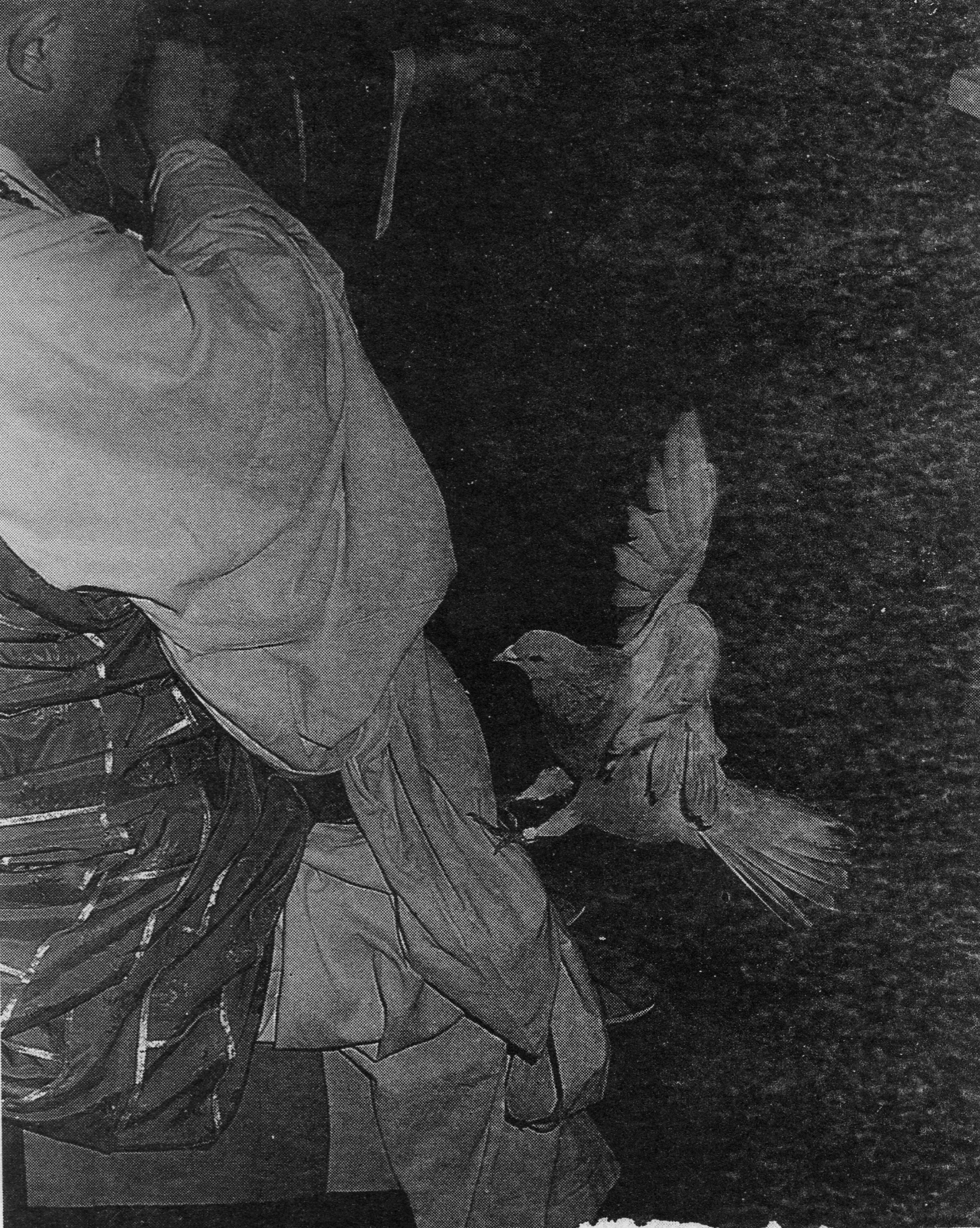 ŤƦѩM|lM2 - Ĥۤ YEIn Memory of the Venerable Master Hsuan Huan - Transformation of a Bodhisattva,