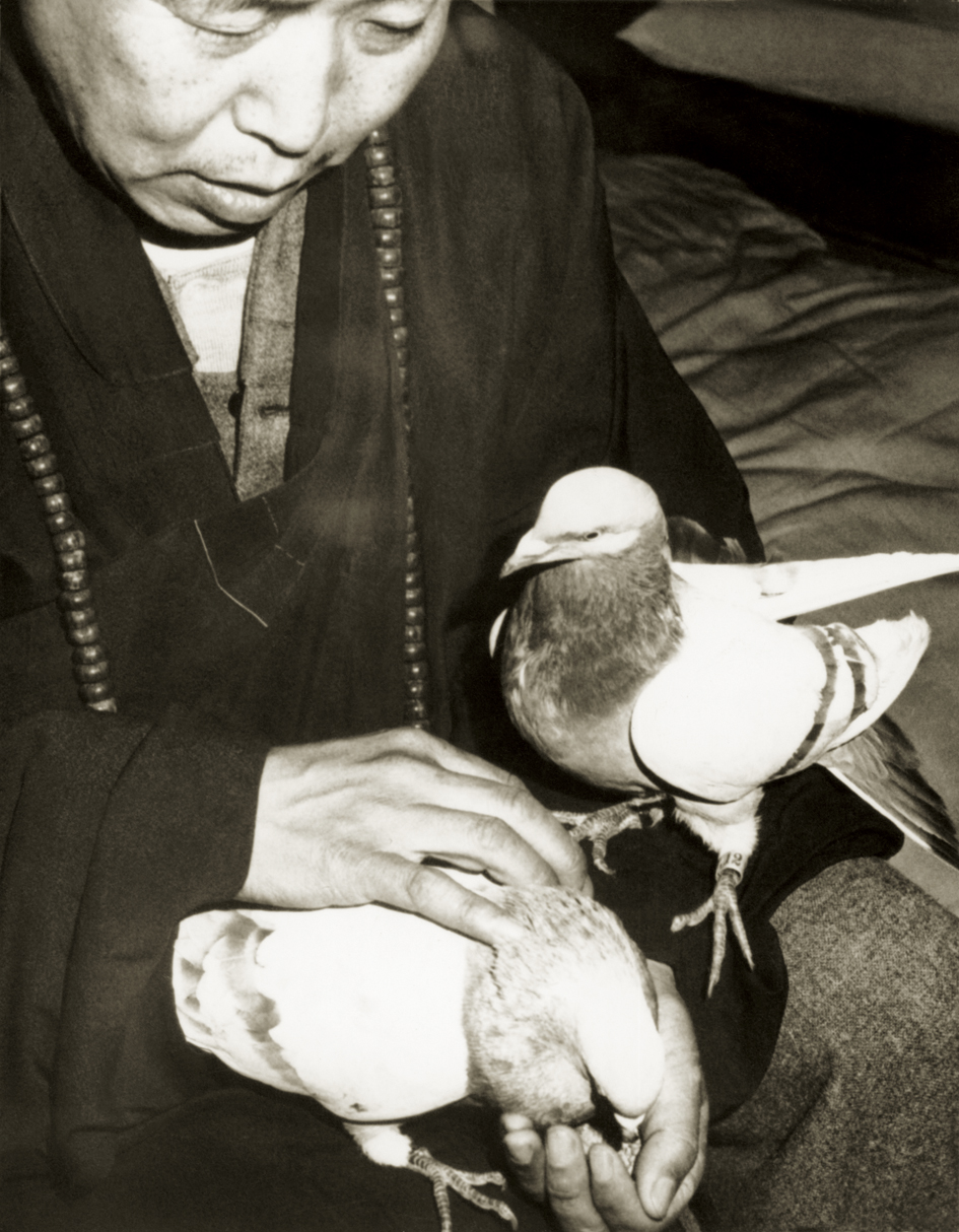 ŤƦѩM|lM2 - Ĥۤ YEIn Memory of the Venerable Master Hsuan Huan - Transformation of a Bodhisattva,